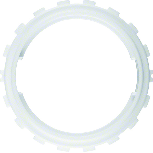 Hager Berker Anillo de sujeción Integro para material de 6 mm de grosor Blanco polar - 8183602