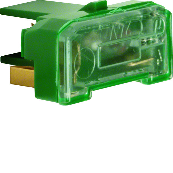 Hager Berker Groene Gloeilamp Element Met N-Terminal Basiseenheid - 167601