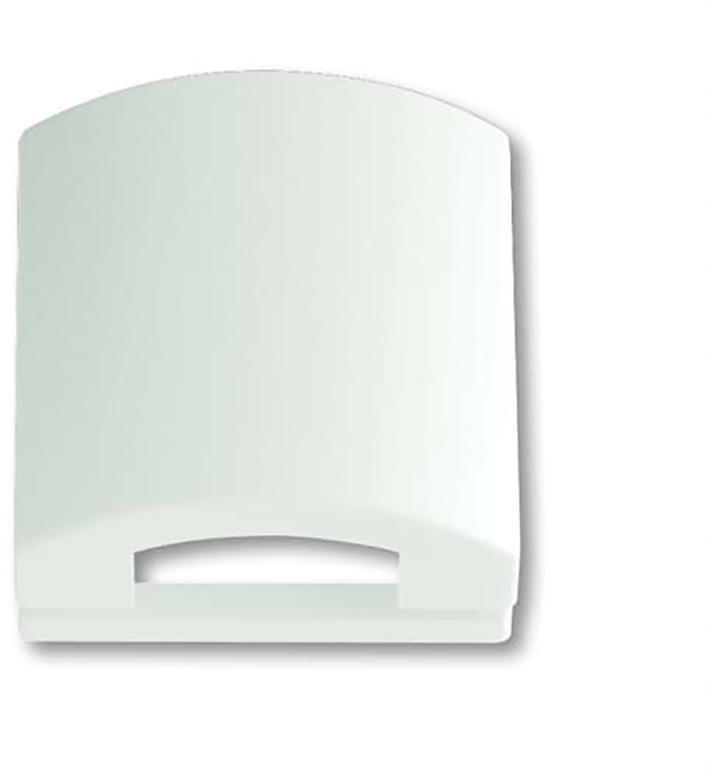 ABB Busch-Jaeger 50x50 Cover Plate in Matte White - 2CKA001710A3876