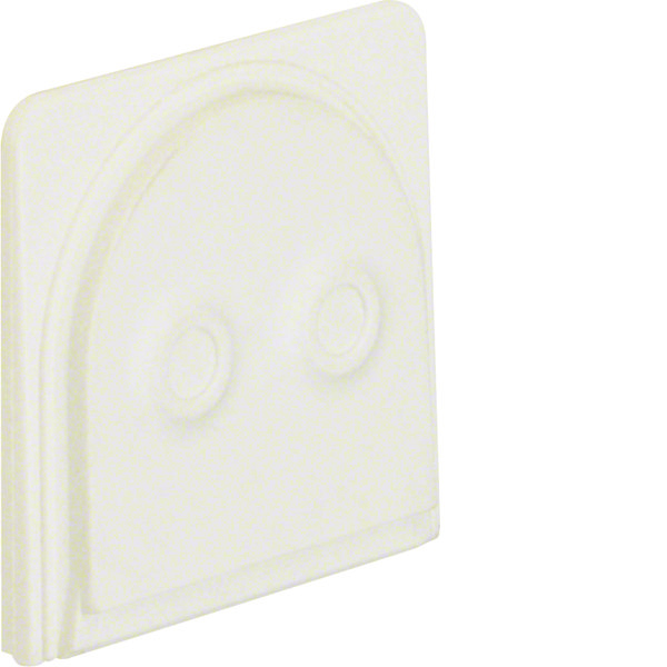 Hager Berker W1 Cable Entry For 2 Cables In Matte White Plastic - 18033512