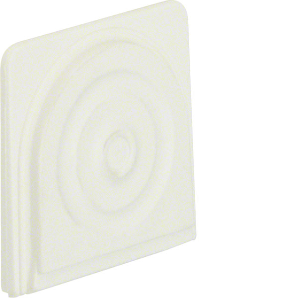 Hager Berker W1 Cable And Tube Entry Piece In Matt White Plastic - 18143512