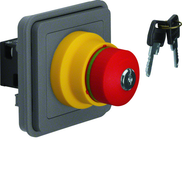 Emergency Push Button Switch With Key Lock - 44713515