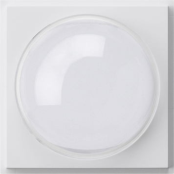 Gira TX 44 Pure White Cover Color Camera - 141566