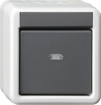 Gira Interrupteur KNX 1 voie 2 points Montage en saillie Gris - 515230