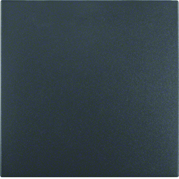 Hager Berker S.1/B.3/B.7 Elemento de Control/Conmutador de Placa Central - 16201606 [2 Piezas]