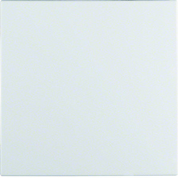 Hager Berker S.1/B.3/B.7 Control Element/Central Plate Switchgear - 16201909 [2 Pieces]