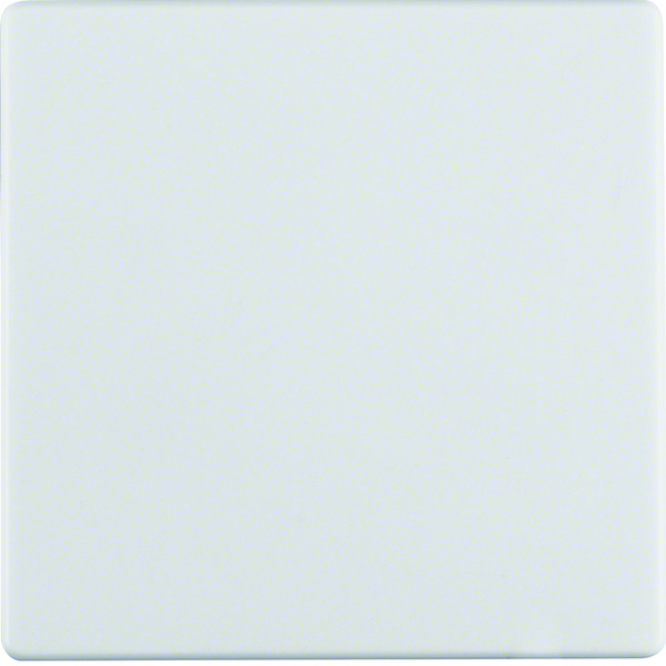 Hager Berker Q.1/Q.3 Elemento de Control/Conmutador de Placa Central - 16206089 [2 Piezas]