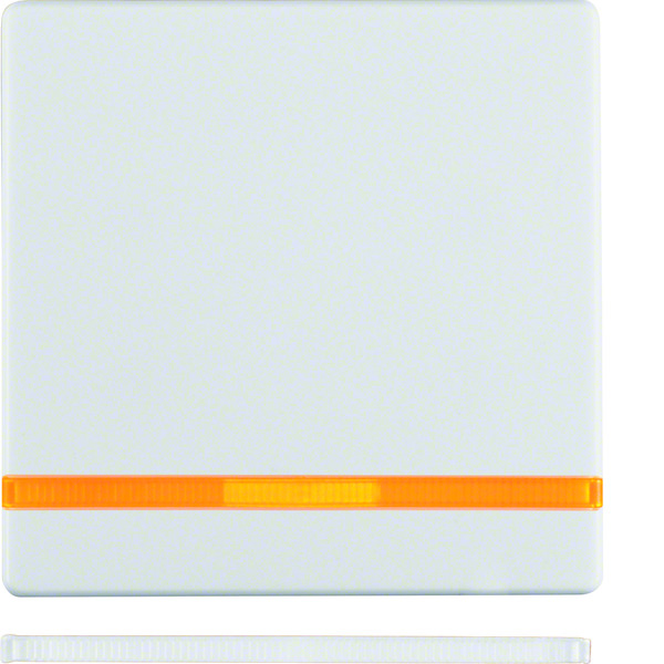Hager Berker Q.1/Q.3 Elemento de Control/Conmutador de Placa Central - 16216089 [2 Piezas]
