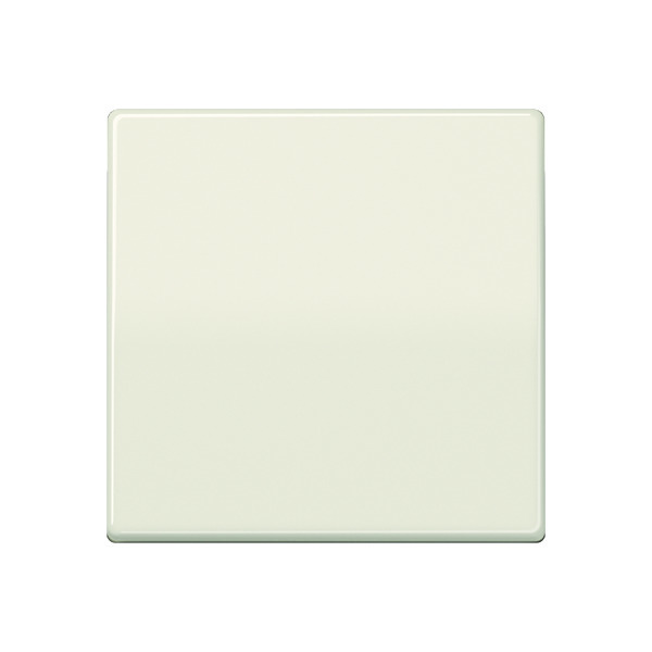 Jung AS500 Control Element/Central Plate Switchgear - AS591BF [2 Pieces] (anglais seulement)