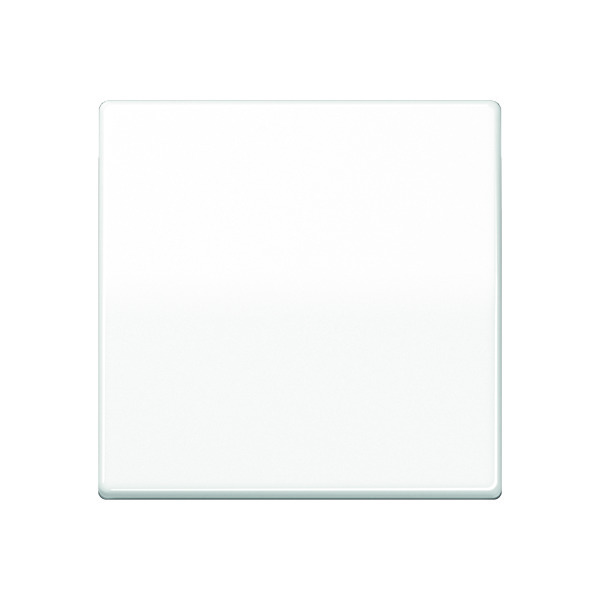 Elemento de control/conmutador de placa central AS500 de Jung - AS591BFWW [2 Piezas]