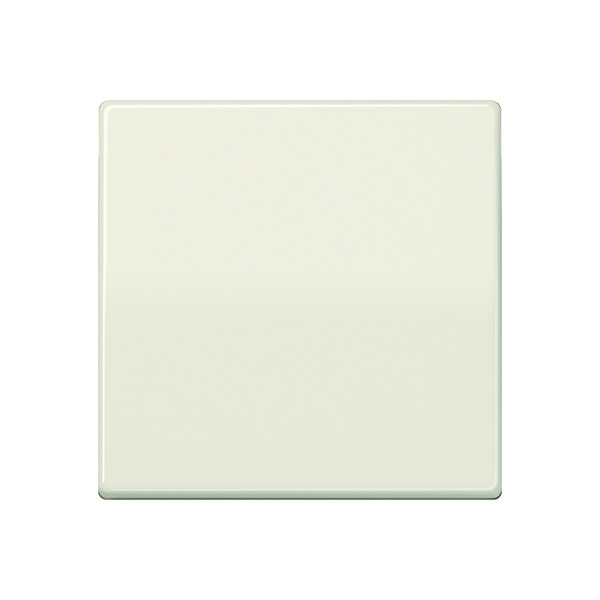 Jung AS500 Control Element/Central Plate Switchgear - AS591 [2 Pieces] (en anglais)