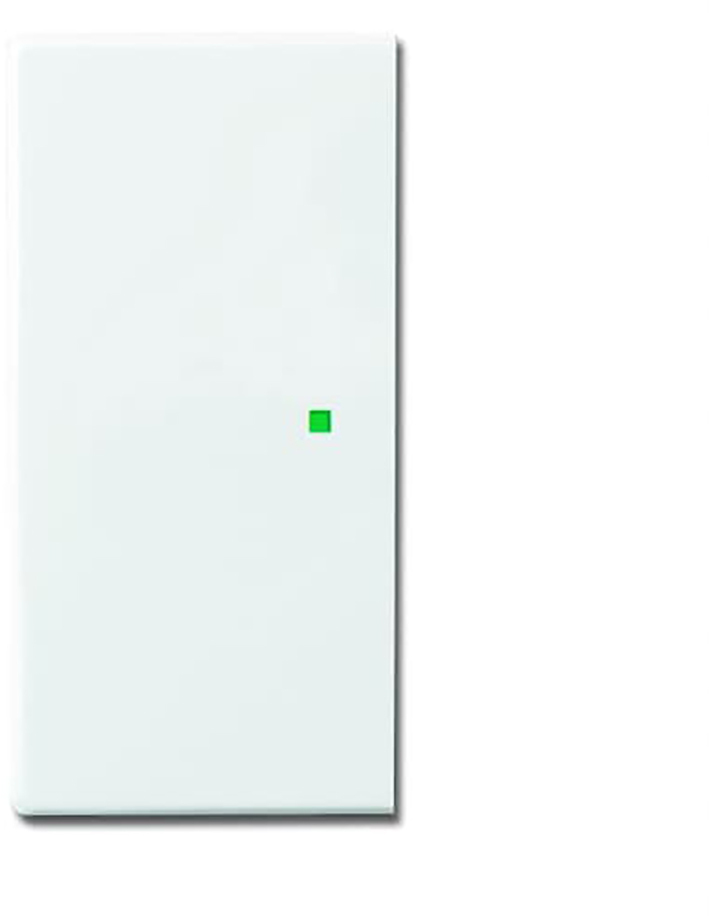 ABB Busch-Jaeger Busch-FreeAtHome Bedieningselement/Centrale Plaat Schakelmateriaal - 2CKA006220A0049 [2 stuks].