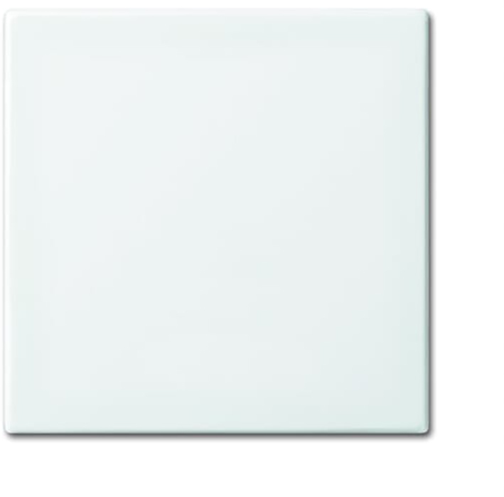 ABB Busch-Jaeger Balance SI Elemento de Control/Conmutador de Placa Central - 2CKA001731A2002 [2 Piezas]