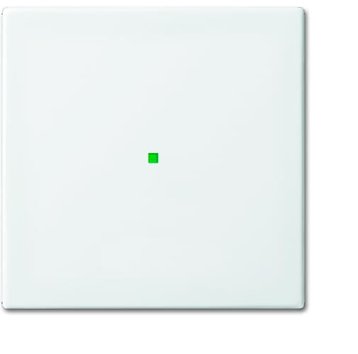 ABB Busch-Jaeger Busch-FreeAtHome Control Element/Central Plate Switchgear - 2CKA006220A0355 [2 Pieces] (en anglais)