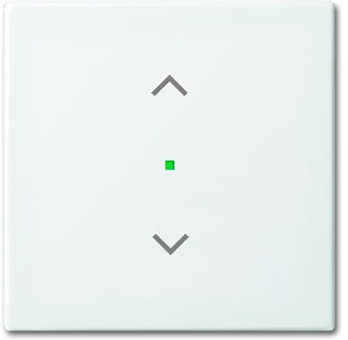 ABB Busch-Jaeger Busch-FreeAtHome Bedienelement/Zentralplatte Schaltgerät - 2CKA006220A0357 [2 Stück]
