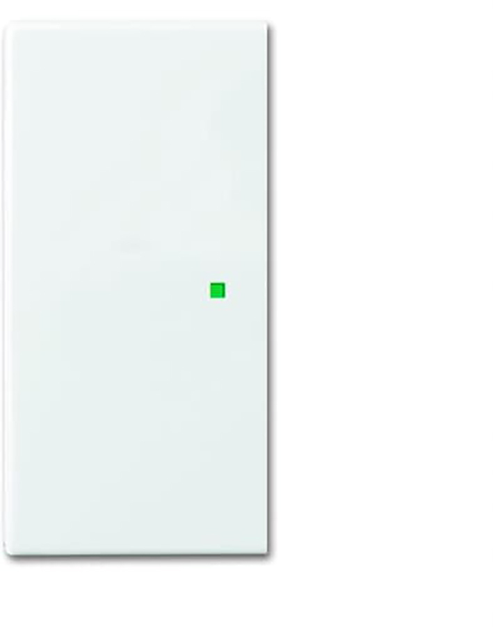 ABB Busch-Jaeger Busch-FreeAtHome Bedieningselement/Centrale Plaat Schakelmateriaal - 2CKA006220A0360 [2 stuks].