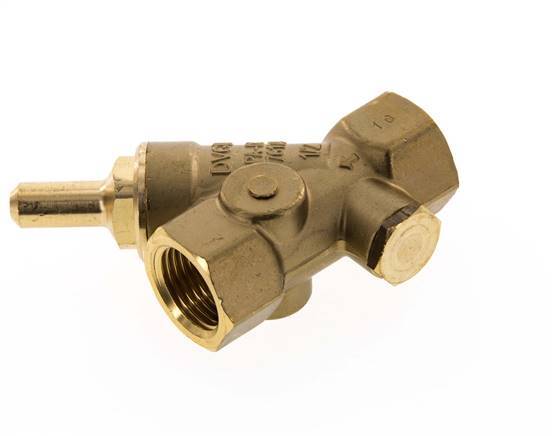Rp 1/2'' Messing Schrägsitz-Rückschlagventile Trinkwasser 10 Bar (145 Psi) EPDM