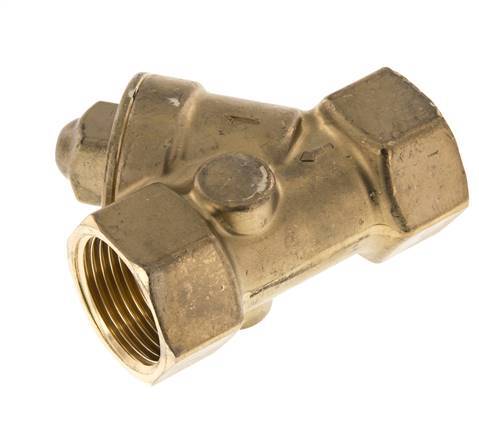 Rp 1'' Messing Y Terugslagklep 10 bar (145 psi) FKM