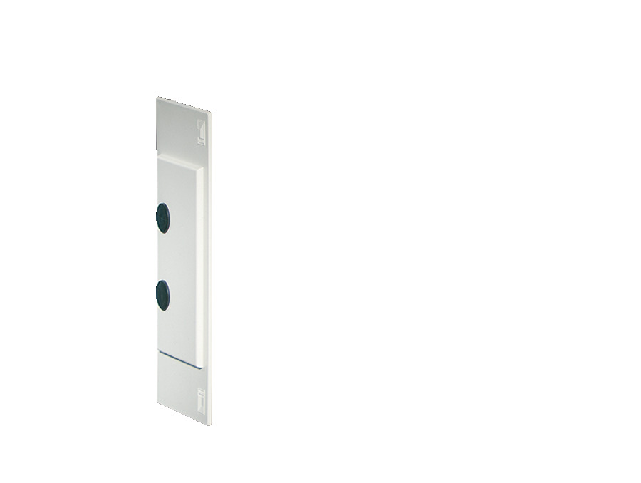 Rittal Mini PLS Abdeckung Grau RAL 7035 - 9610000 [2 Stück]