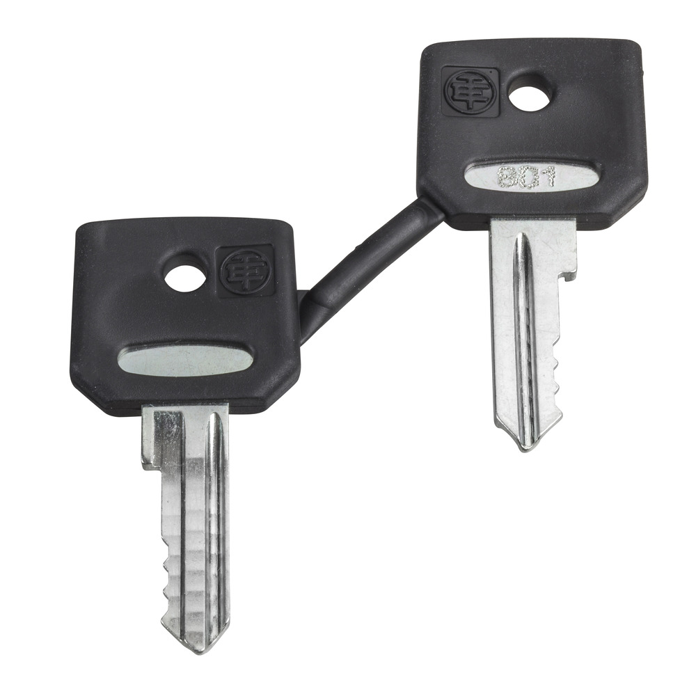 Schneider Electric Ronis 455 Sleutelset Met Beschermende Laars - ZBG455P