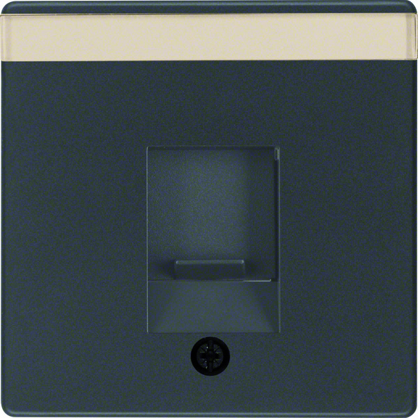 Placa De Centro De Datos RJ Con Protección Contra El Polvo Serie Q - 11706086