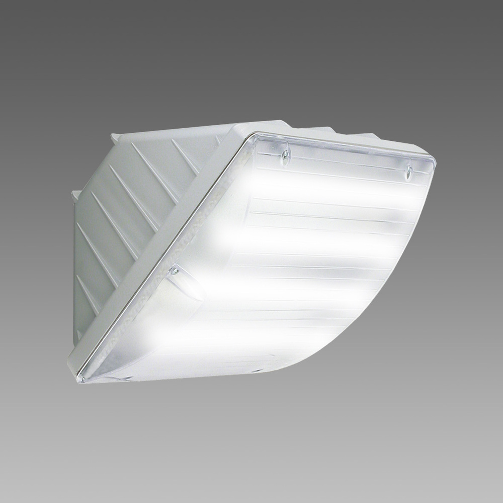 Disano Vega LED IP65 Wall Light 20W 4000K Grey - 42066600