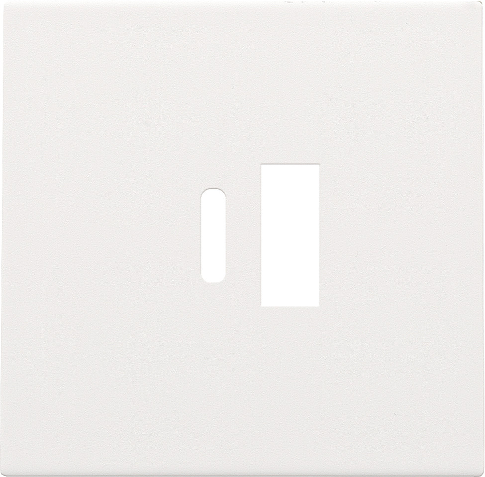 Dubbele Slimme Usb-A En Usb-C Oplader Afdekking Wit - 154-68002