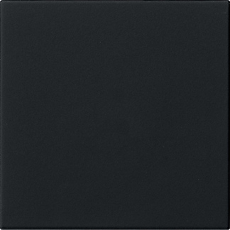 Gira System 55 Schwarz Matt Leere Wippe Schalter - 5372005