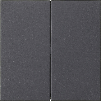 Gira System 55 Dual Rocker Switch Blank Anthracite - 537028