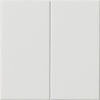 Gira System 55 Doppelwippschalter Leer Reinweiß - 537003