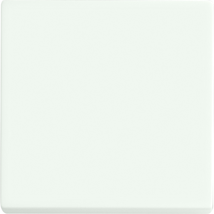 ABB Futur Interrupteur Linéaire Intelligent Panneau De Contrôle Mat Blanc - 2CKA006730A0149