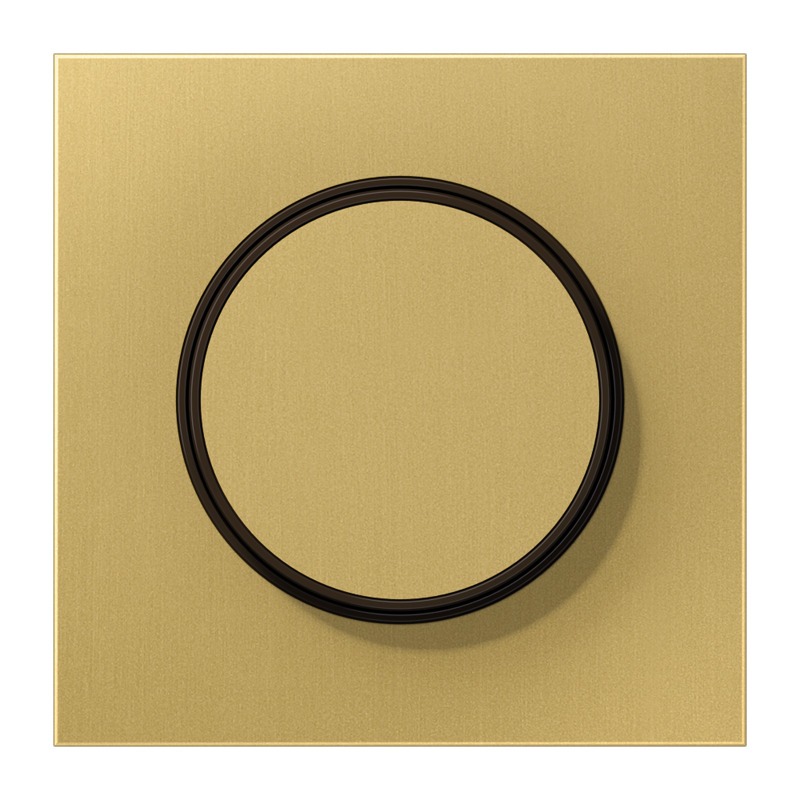 Jung Rango LS Clásico Latón Placa De Tapa Dimmer - ME1740C