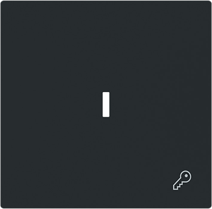 ABB Busch Clé Symbole Interrupteur À Bascule Capot Noir Mat - 2CKA001751A3380