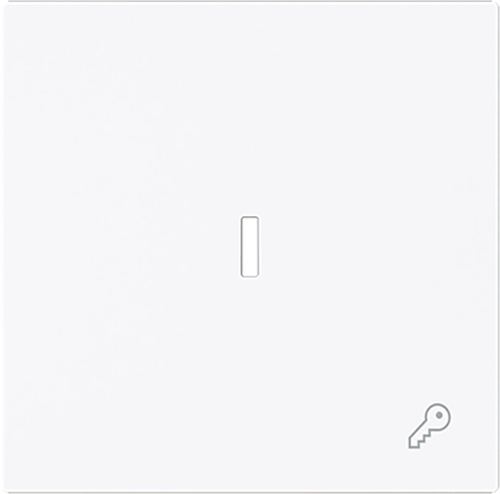 ABB Busch Interrupteur À Bascule Simple Avec Symbole De Clé Et Lentille - 2CKA001751A3377