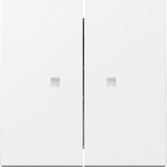 Gira Doppelwippschalter Mit Steuerfenster - 363103