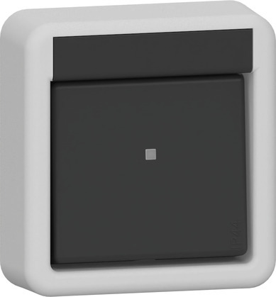 Gira IP44 Two-Pole Surface Mount Rocker Switch Grey - 310235