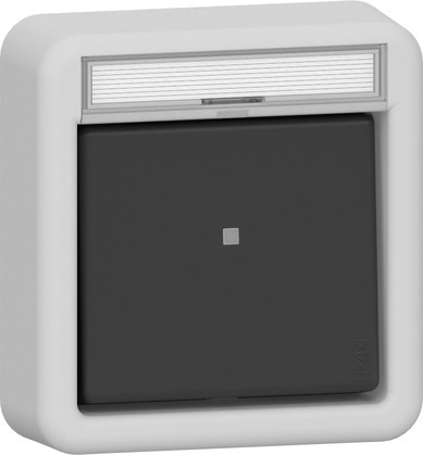 Interruptor De Palanca LED De 2 Polos Con Espacio Para Etiqueta Gris - 311235