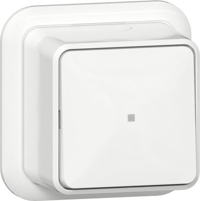 Gira 2-Polaire Bedieningsschakelaar Met LED Indicator Opbouw - 311211