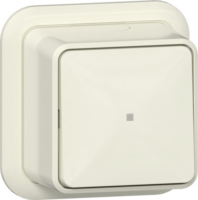 Gira 2-Pole Surface Mount Control Switch With LED - 311210