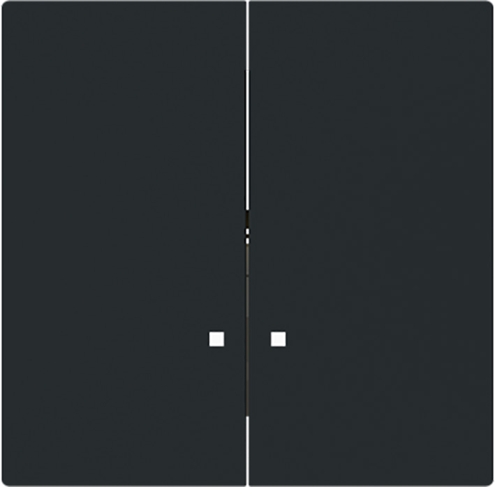 ABB Busch Hotel DND Switch Cover Plate Black Matte - 2CKA001751A3312