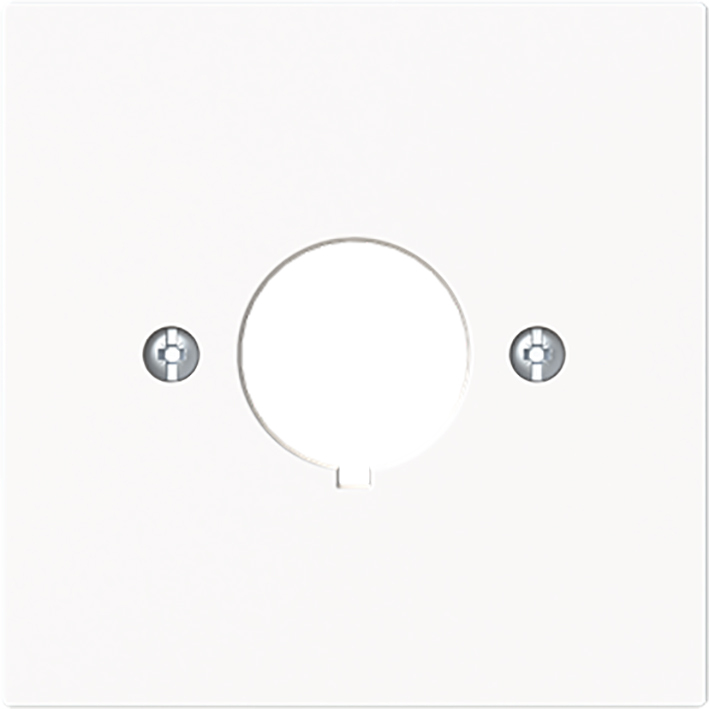 ABB Busch-Jaeger 22.5mm Zentrale Abdeckungplatte - 2CKA001724A4445