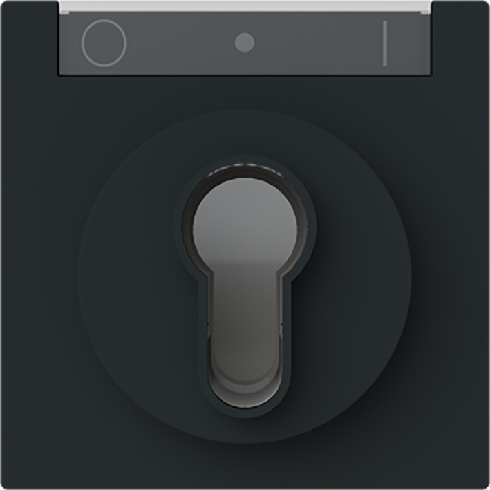 ABB Busch-Jaeger Interrupteur À Clé Plaque De Contrôle IK03 Noir - 2CKA001710A4160