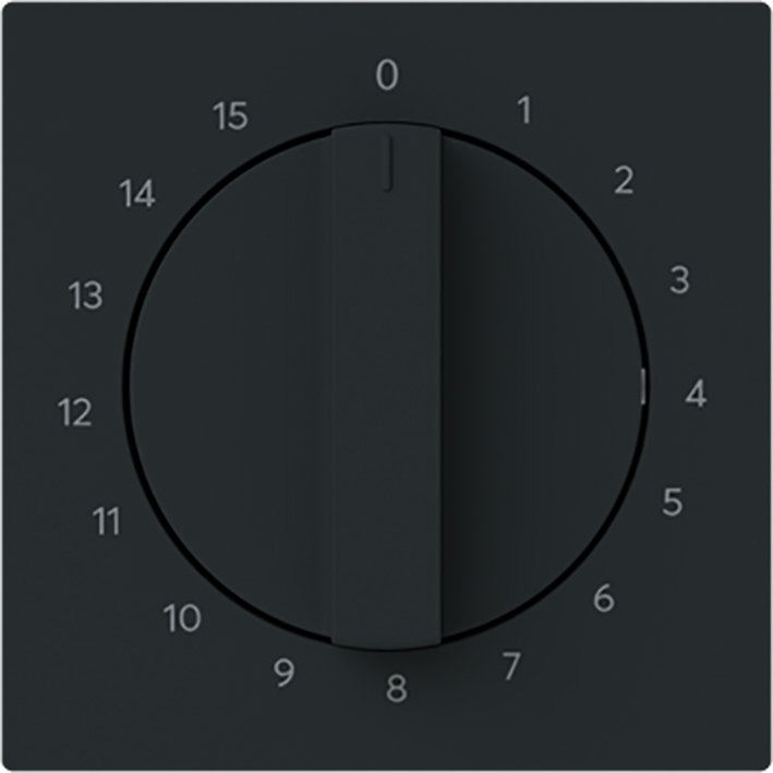ABB Busch Timer Steuerplatte Mit 15 Min Wählschalter Schwarz - 2CKA001753A9985