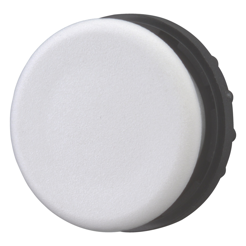 Eaton M22-B IP66 Bouchon Rond De Blindage RAL7035 - 216388 [2 Pièces]