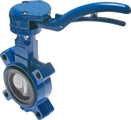 DN50 (2 inch) PN12 Lug Butterfly Valve GGG40-GGG40 polyamide-coated-EPDM