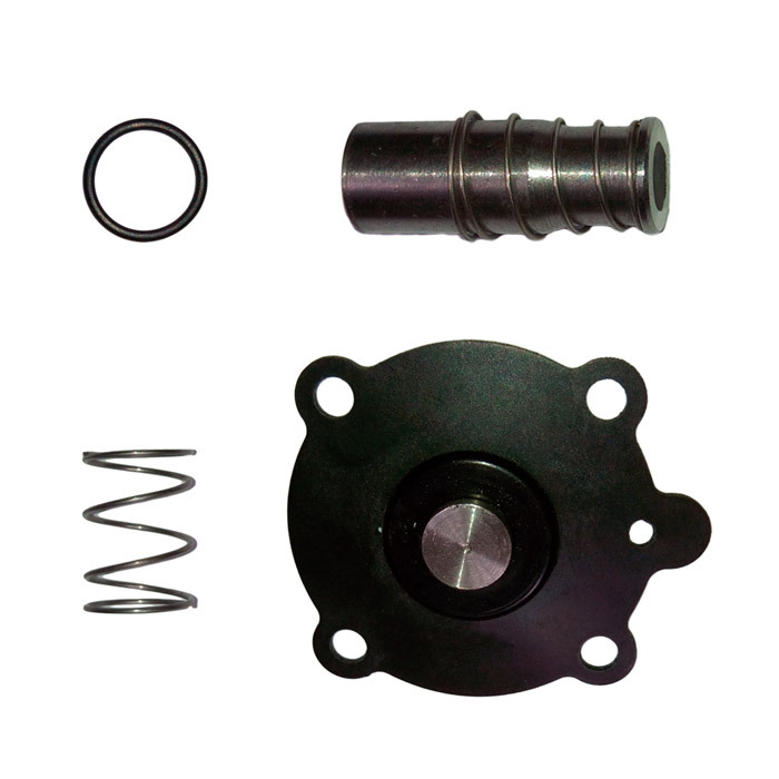 CM-IA revisieset DN12mm FKM