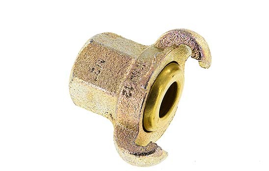 Cast Iron DN 17 DIN 3489 Twist Claw Coupling Rp 1/2'' Female