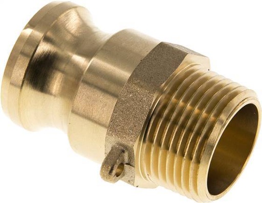[F23TQ] Camlock DN 25 (1'') Brass Coupling R 1'' Male Thread Type F MIL-C-27487