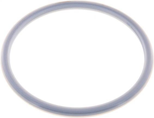 [F2473] PTFE/FPM-Dichtung 100 mm für Tankwagenkupplung MK/MB Typ EN 14420-6