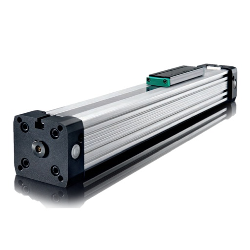 [PL-CUSTOM-CUSTOM] Rodless cylinder PL